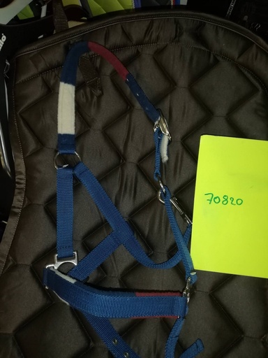 licol equitheme stripe bleu poney