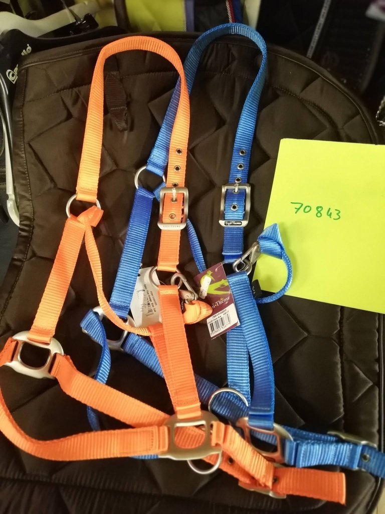 Licol Equitheme Éclat Cheval Bleu ciel