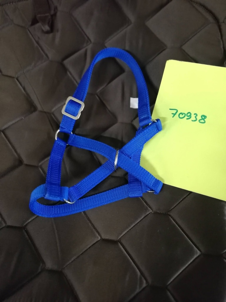 Licol pour lama Kerbl 60 bleu