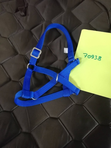 Licol pour lama Kerbl 60 bleu