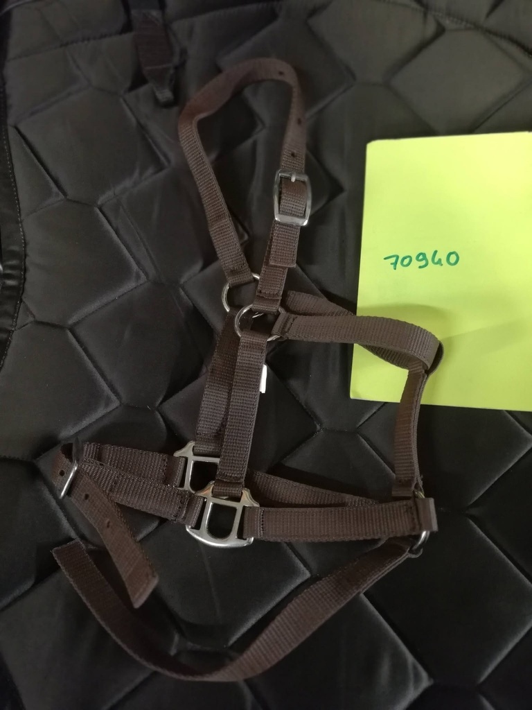 Licol poulain à lanière Sportech Memory Marron