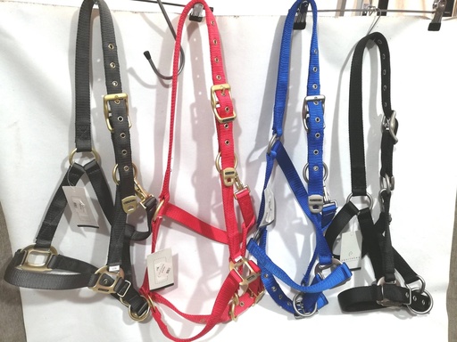 licol equitheme satin