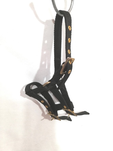 licol mini poulain noir