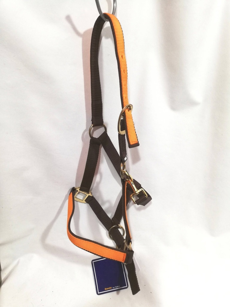 licol daslo marron/orange poney
