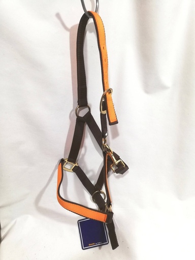 licol daslo marron/orange poney