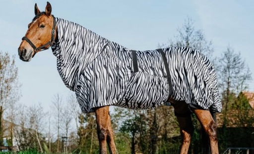 chemise anti-eczema riding world zebre 5,0/110