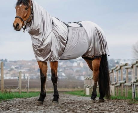 chemise anti-eczema riding world gris 5,0/110