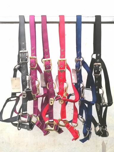 licol nylon equitheme