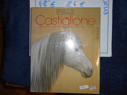 castiglione jesuite italien et peintre chinois