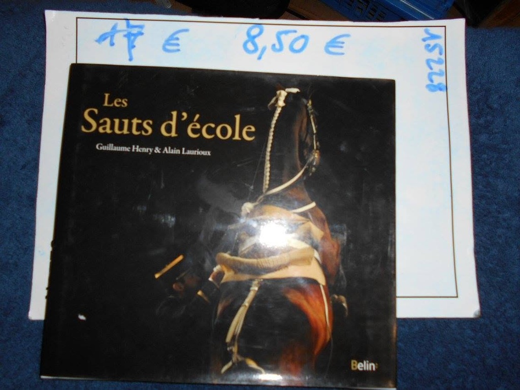 les sauts d'ecole laurioux-henry