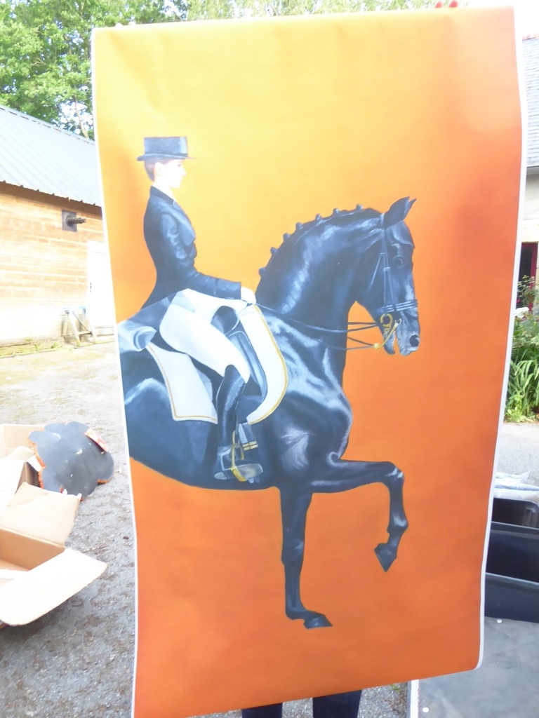 tableau cheval dressage fond orange 160x80cm