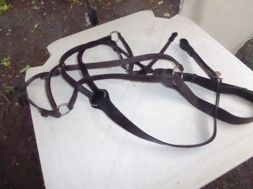 collier de chasse (sans martingale)