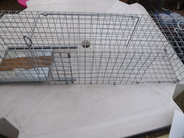 Piège à rat 62x15x15