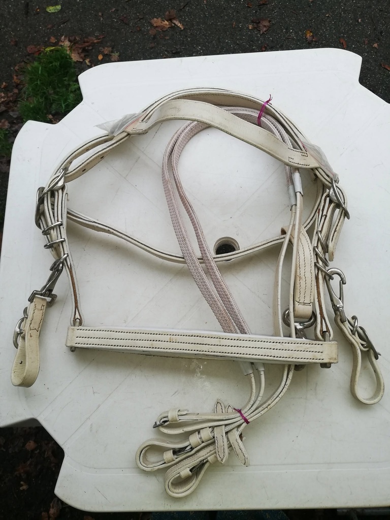 bridon/licol + renes caoutchouc blanc cheval