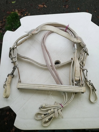 bridon/licol + renes caoutchouc blanc cheval