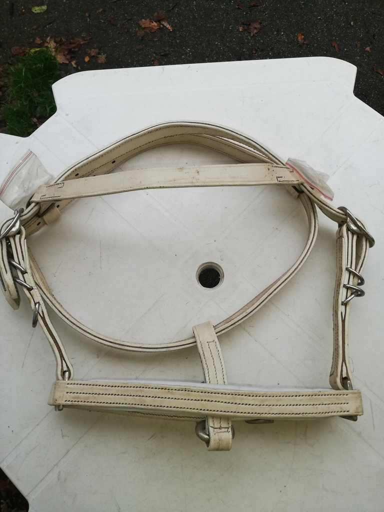 bridon/licol sans renes et sans attache pour mors blanc cheval
