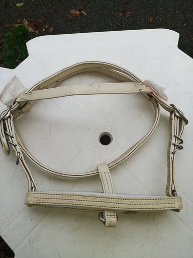 bridon/licol sans renes et sans attache pour mors blanc cheval