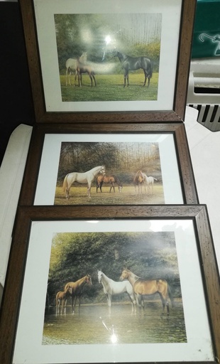 tableau encadré 4 chevaux 37x47cm (en bas)