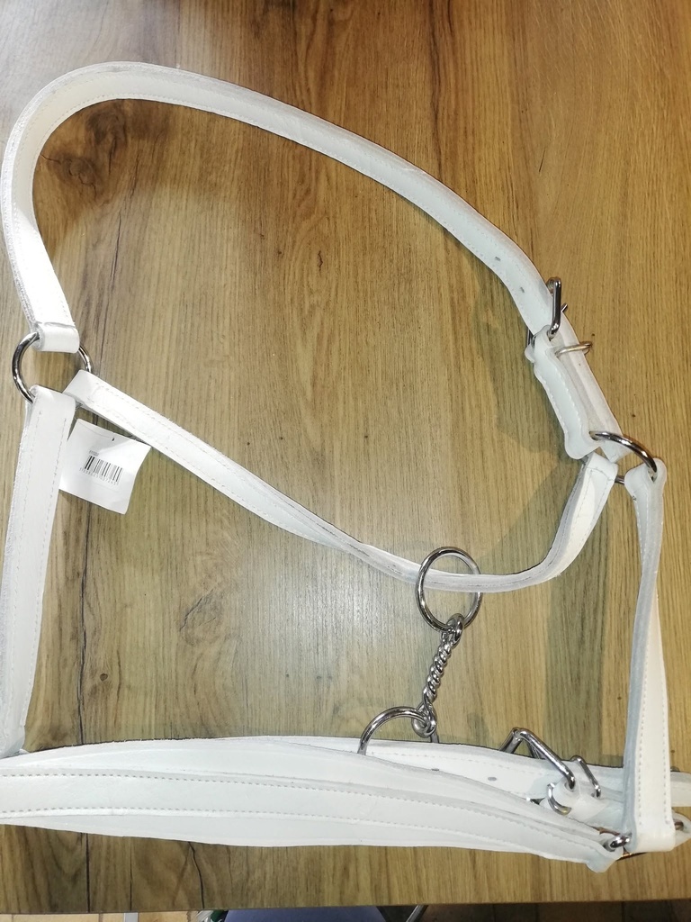 licol cuir trait norton blanc