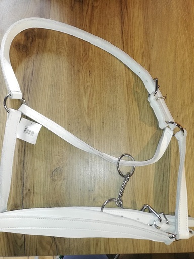 licol cuir trait norton blanc