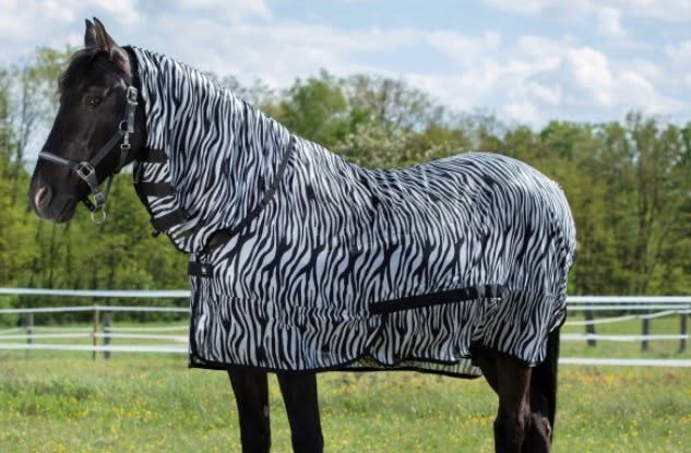 chemise equitheme filet anti-mouches combo zebre 150/6,6