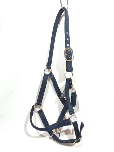 Licol riding world cushion marine COB