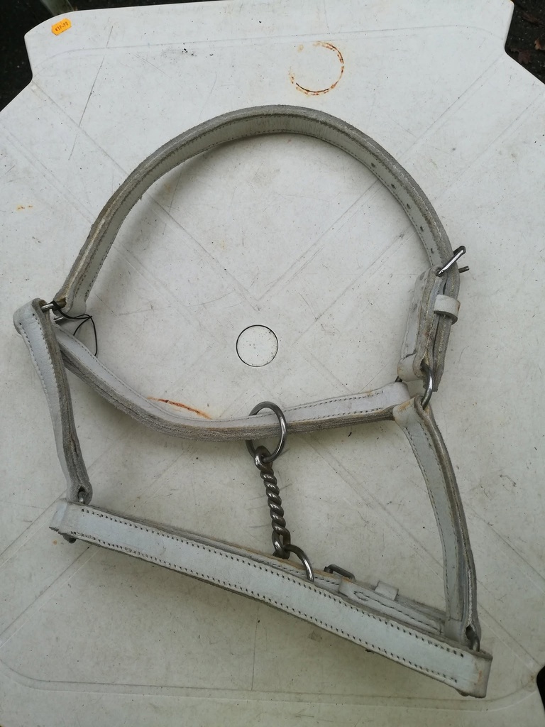 licol cuir blanc cob