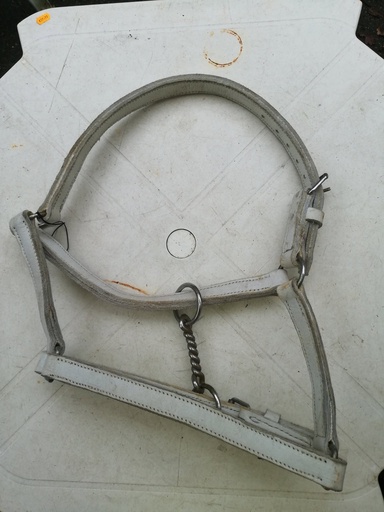 licol cuir blanc cob