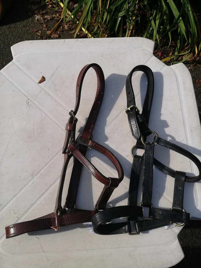 licol cuir marron poney