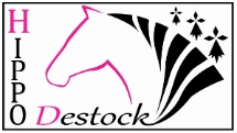 My Website
